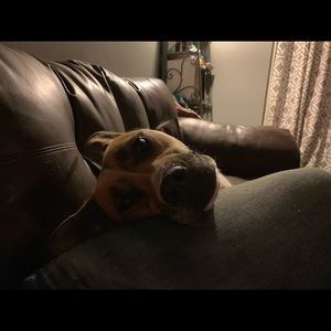 Meet your Posher, Regina